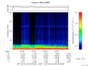 T2017167_07_75KHZ_WBB thumbnail Spectrogram